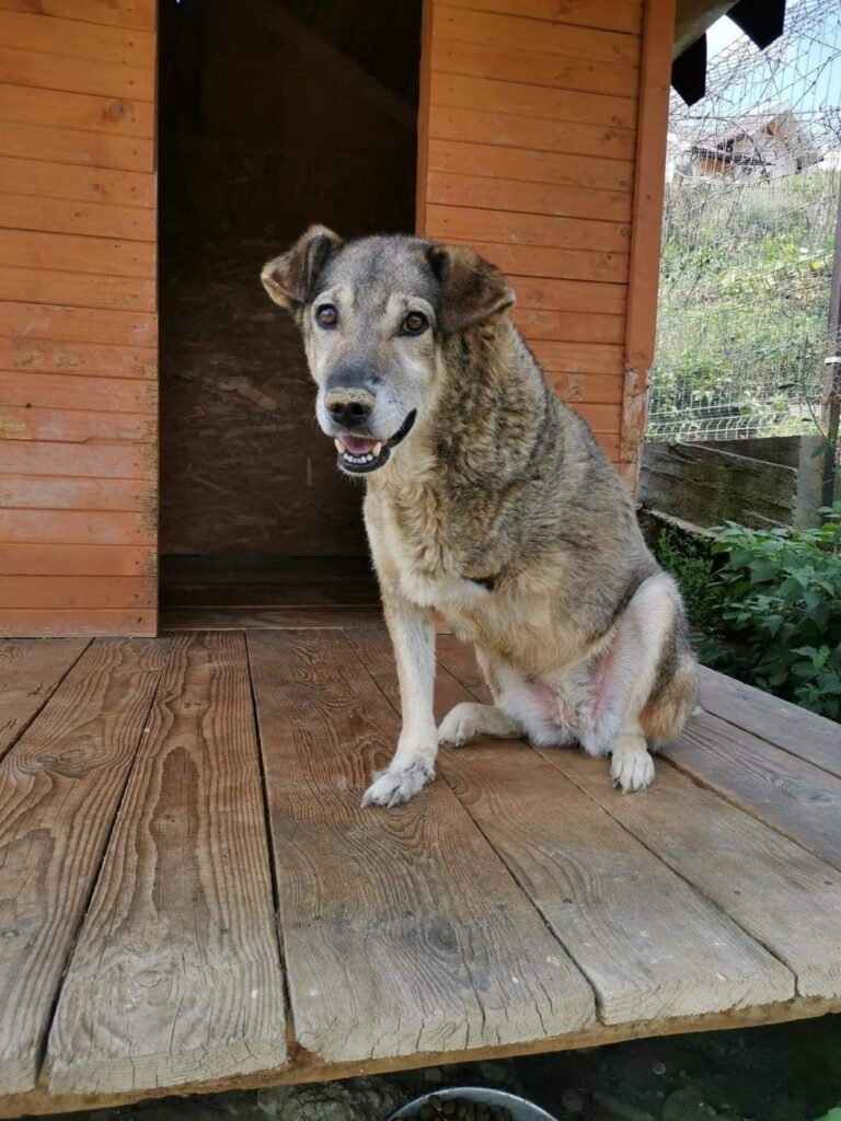 Ajută fara sa te coste nimic!
